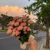 关于我们 · 小知 · 阿耐 · 《